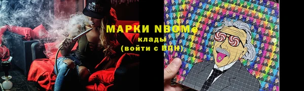 трава Бородино