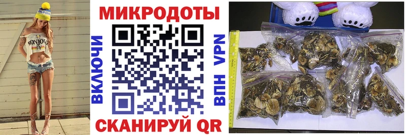 купить наркотик  Гороховец  MEGA ссылка  Псилоцибиновые грибы Magic Shrooms 